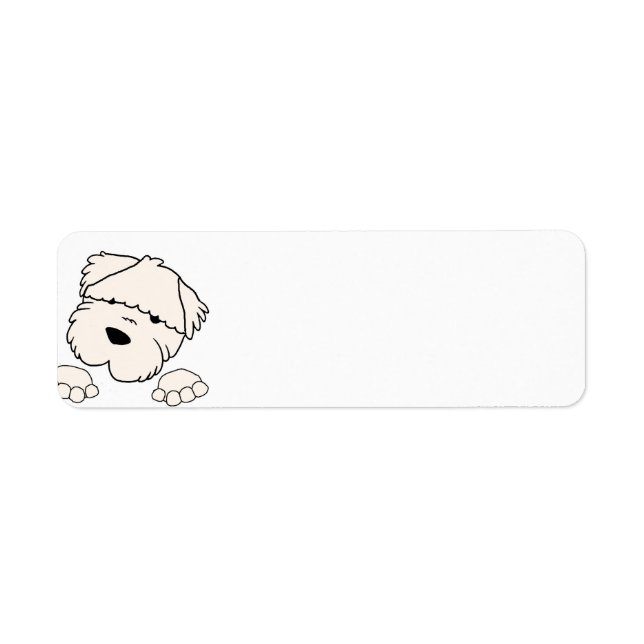 soft coated wheten terrier peeking return address label (Front)
