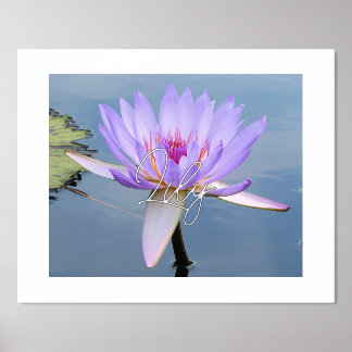 Soft Colours Water Lily Foil Text Print Poster
