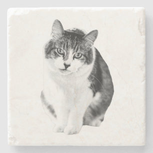 Soft Comfort Tone Stone Coaster