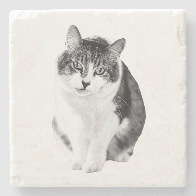 Soft Comfort Tone Stone Coaster (Front)
