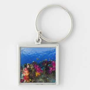 Soft corals on shallow reef, Fiji Key Ring