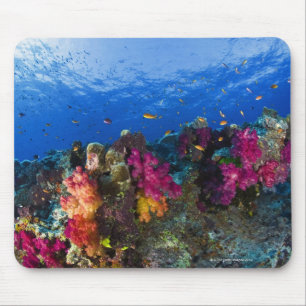 Soft corals on shallow reef, Fiji Mouse Pad