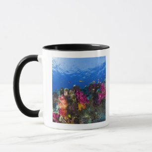 Soft corals on shallow reef, Fiji Mug