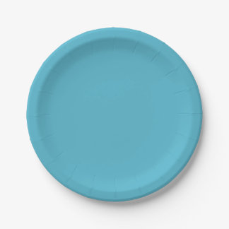 Soft Cyan Paper Plate