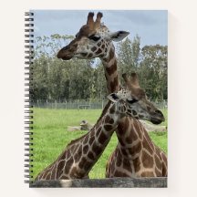 Soft, earthy colors, giraffe patterns - Notebook