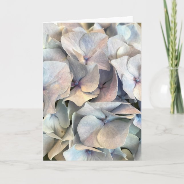 Soft Expressions Blank Card (Front)