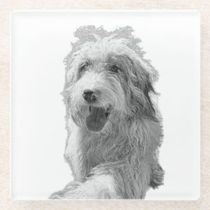 Soft Eyes, Solid Surface – Monochrome Dog Portrait Glass Coaster