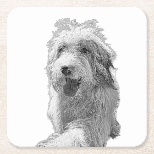 Soft Eyes, Solid Surface – Monochrome Dog Portrait Square Paper Coaster (Front)
