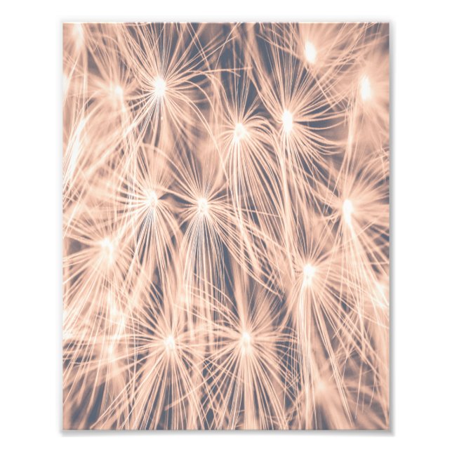 Soft Fairytale Pink Dandelion Blowball 5 Photo Print (Front)