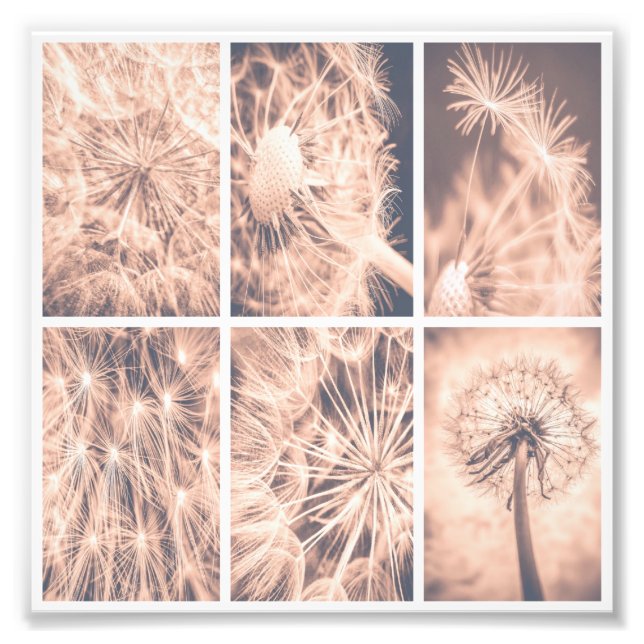 Soft Fairytale Pink Dandelion Blowball Square  Photo Print (Front)