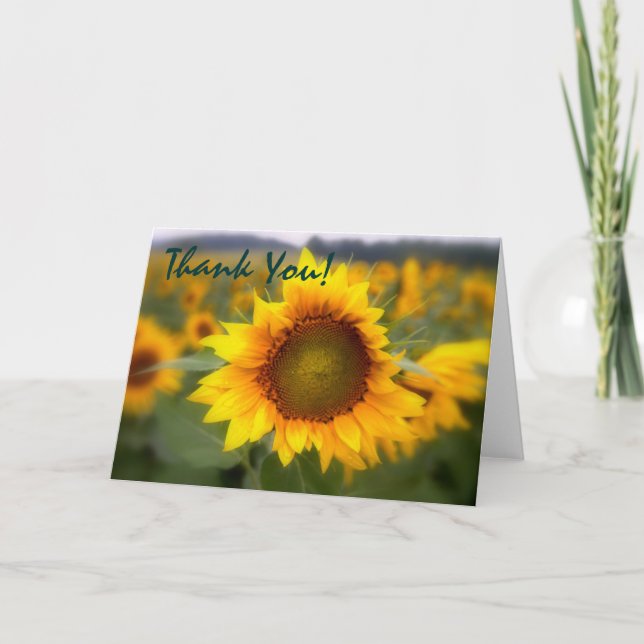 Soft Focus Sunflower Thank You Card (Front)