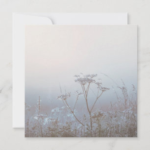Soft Frosty Morning Nature Card
