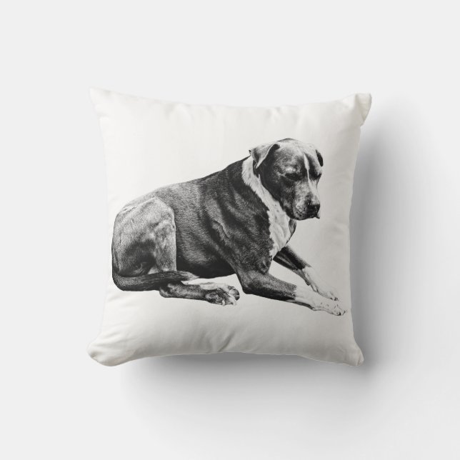 Soft Gaze, Restful Curve Cushion (Front)