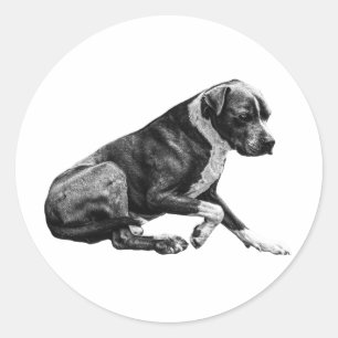 Soft gaze still classic round sticker