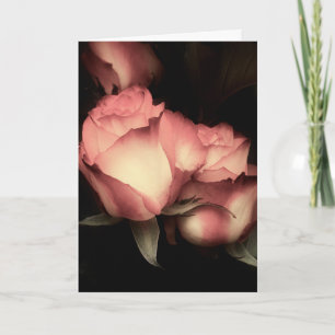 Soft Glow Roses Valentine's Day Card