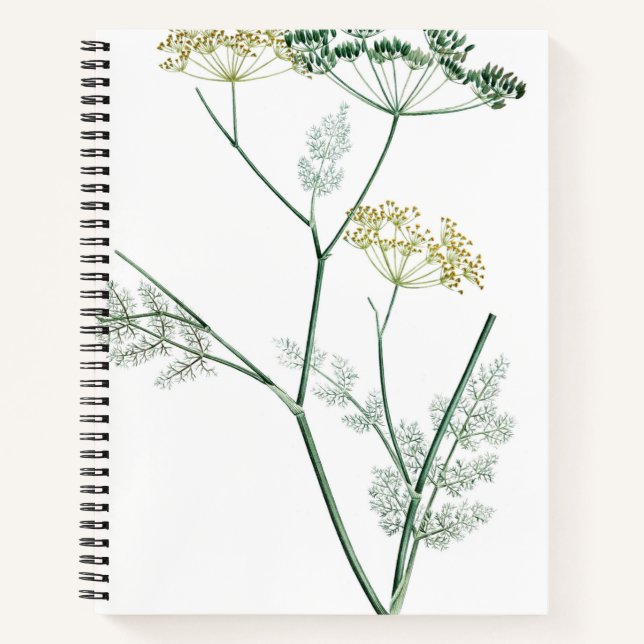 Soft Green Botanical IV Notebook (Front)