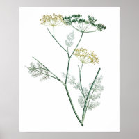 Soft Green Botanical IV