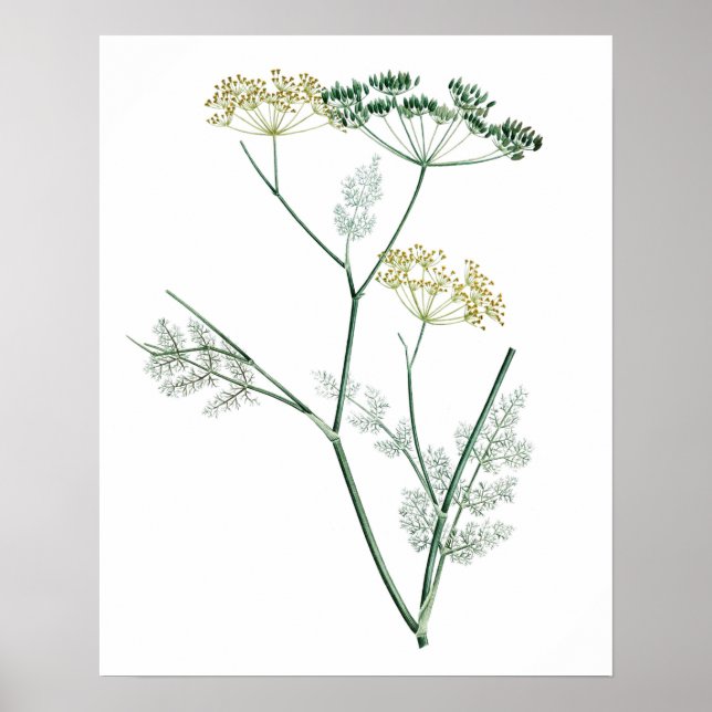 Soft Green Botanical IV Poster (Front)