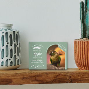 Soft Green Feathers In Loving Memory Pet Bird Plaque