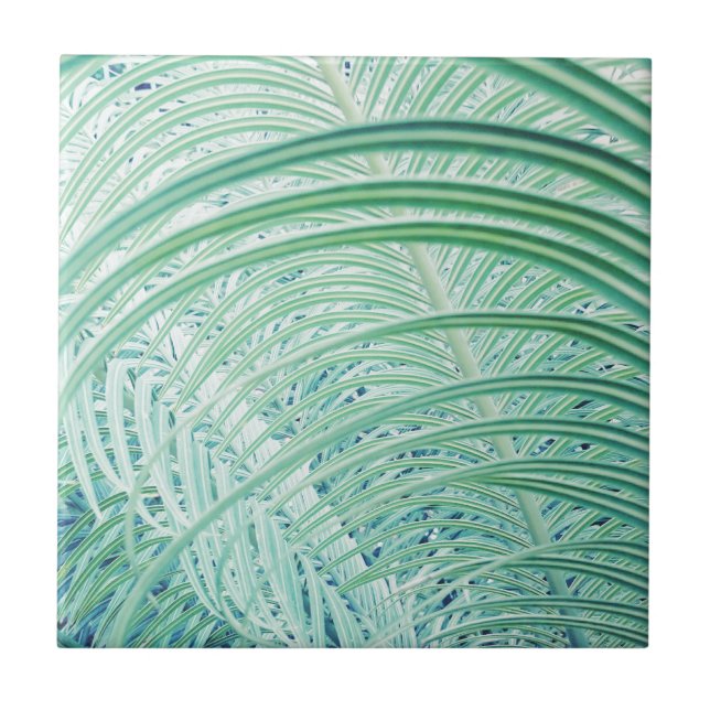 Soft Green Plant Palm Leaf Ceramic Tile (Front)
