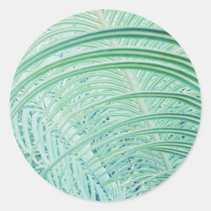 Soft Green Plant Palm Leaf Classic Round Sticker