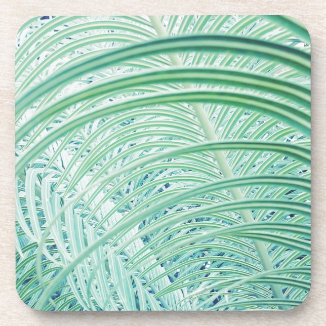 Soft Green Plant Palm Leaf Coaster (Front)