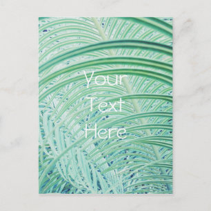 Soft Green Plant Palm Leaf Postcard
