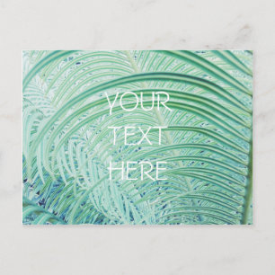 Soft Green Plant Palm Leaf Postcard