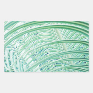 Soft Green Plant Palm Leaf Rectangular Sticker