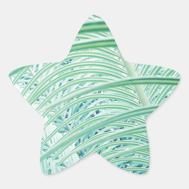 Soft Green Plant Palm Leaf Star Sticker (Front)