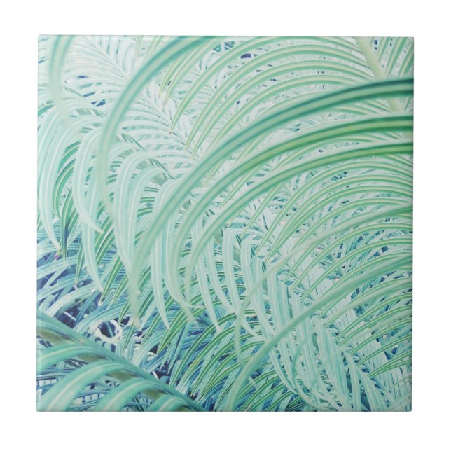 Soft Green Plant Palm Leaves Pastel Ceramic Tile (Front)