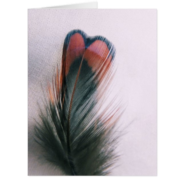 Soft Heart (Front)