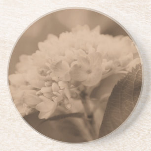 Soft Hydrangea Sepia Floral Coaster