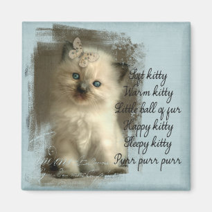 Soft kitty, ragdoll magnet