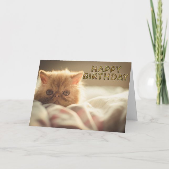 Soft kitty wishes card (Front)
