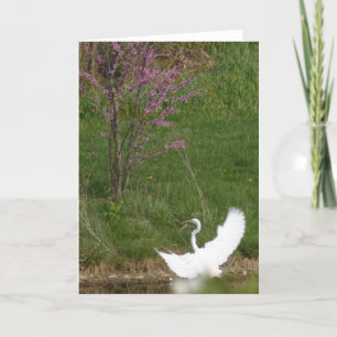 Soft landing card