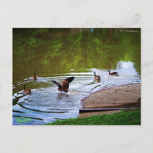 Soft Landing Postcard (Front)
