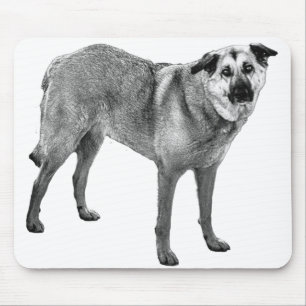soft light focus, tibetan mix mouse pad