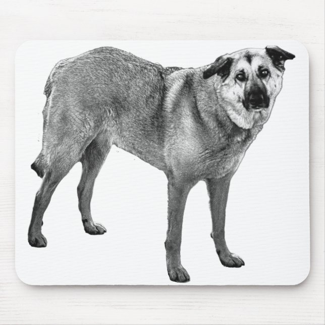 soft light focus, tibetan mix mouse pad (Front)