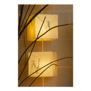 Soft Light. Photo Print