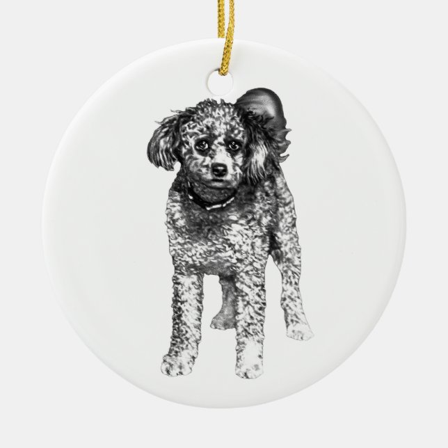 Soft Night Ornament (Front)