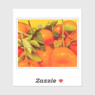 Soft Orange Fruit Aesthetic
