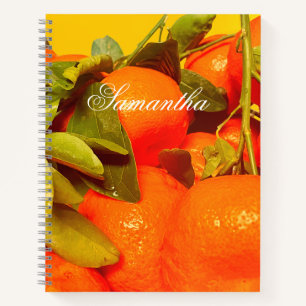 Soft Orange Fruit Aesthetic Notebook
