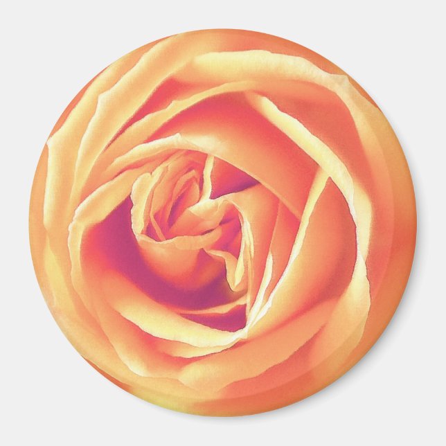 Soft orange rose print magnet (Front)