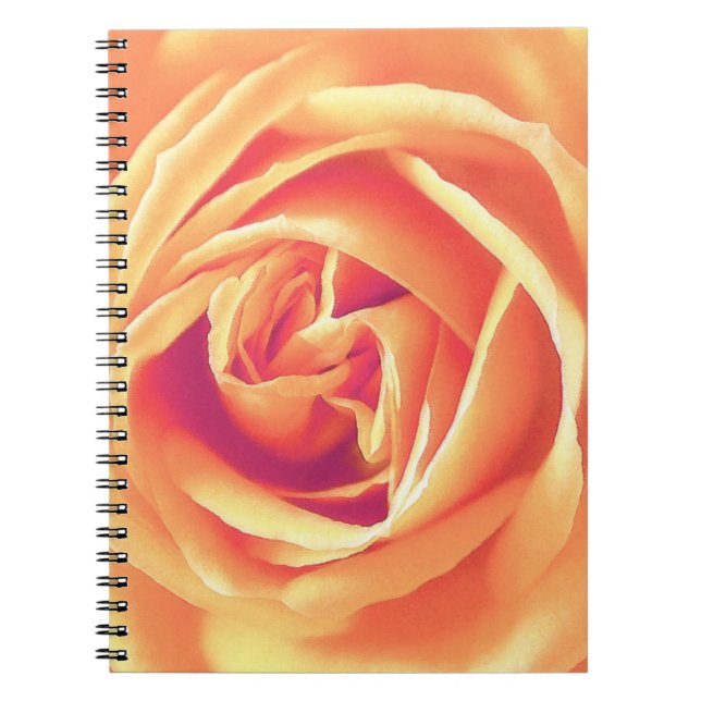 Soft orange rose print notebook (Front)