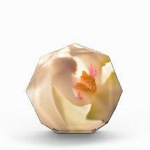 Soft Orchid Design Photo Block