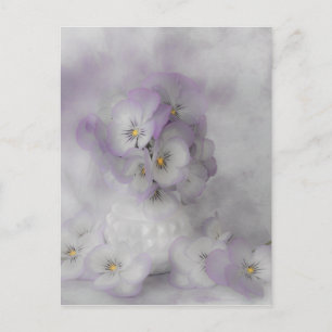 Soft Pansies Postcard