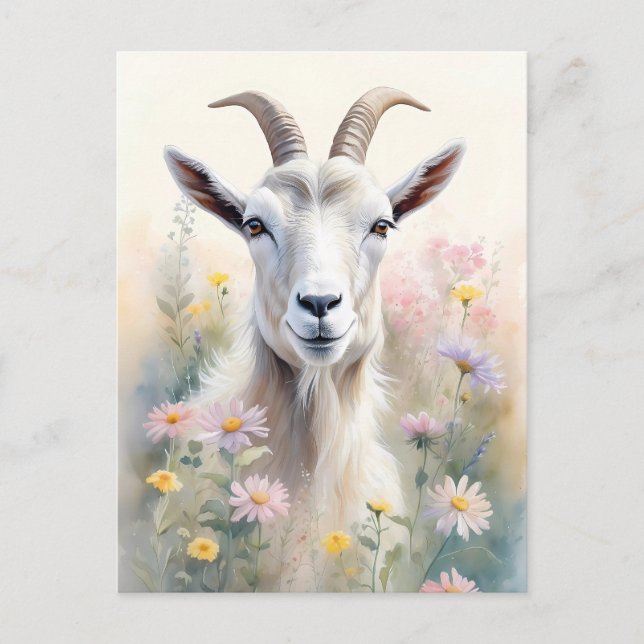 Soft Pastel Flower Field Goat Portrait Postcard (Front)