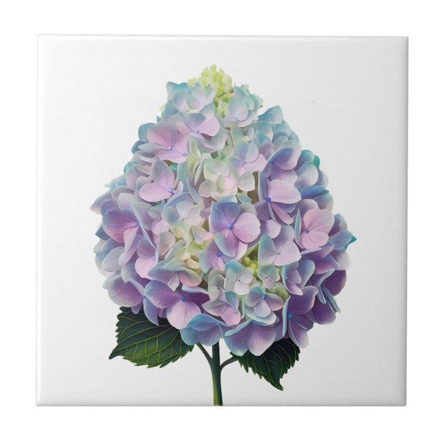 Soft Pastel Hydrangea Botanical Illustration Ceramic Tile (Front)