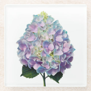 Soft Pastel Hydrangea Botanical Illustration Glass Coaster